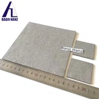 Gesinterte Titanplatten